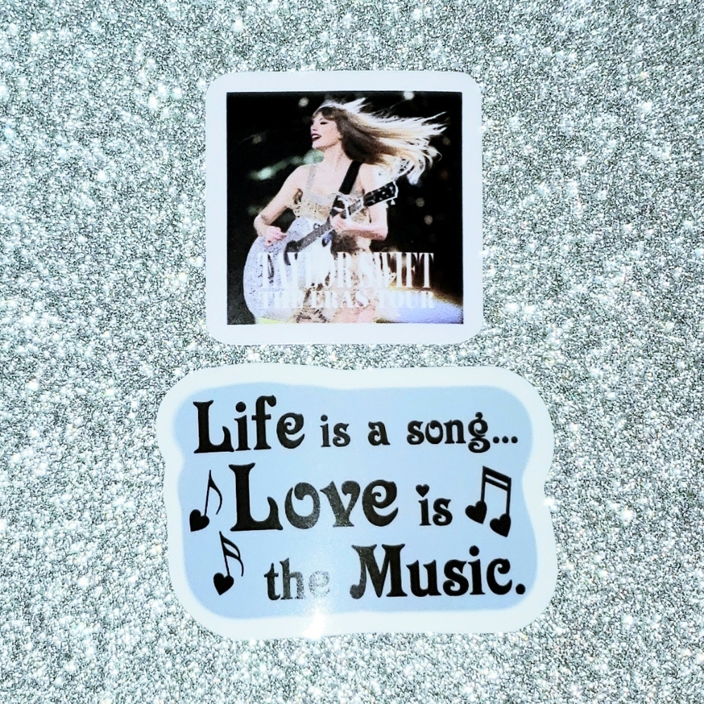 10/$10 Taylor Swift REPUTATION Waterproof Sticker